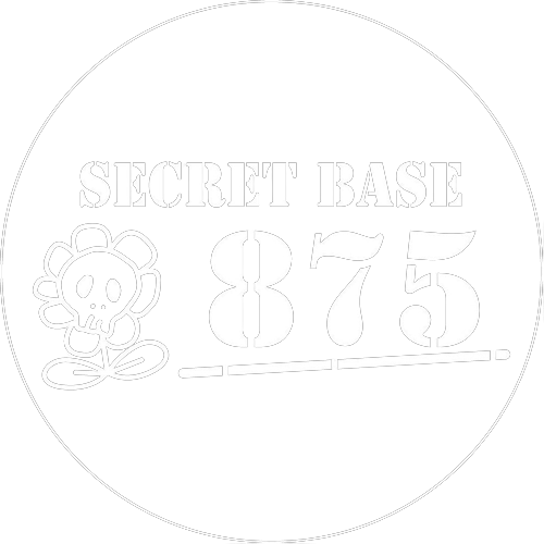 SECRET BASE 875